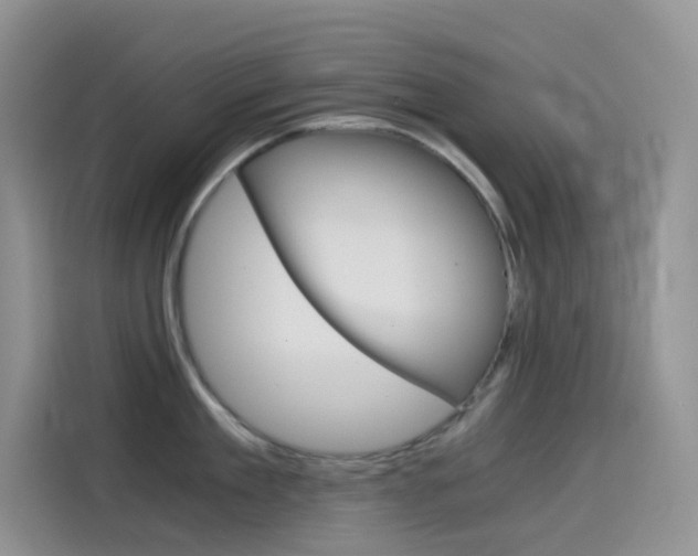 X0000114430909200910161029