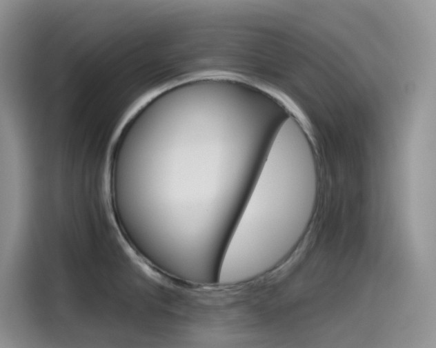X0000114430910200910161029