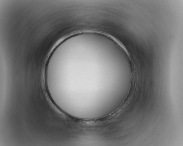 X0000114430911200910161029