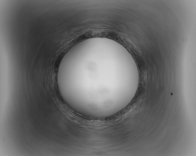 X0000114430914200910161029