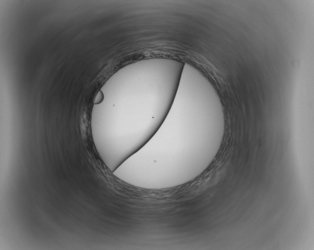 X0000114430915200910161029
