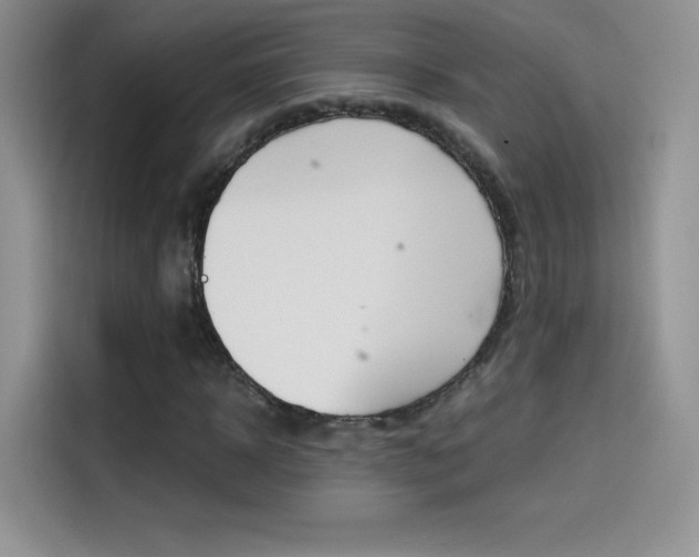 X0000114430918200910161029