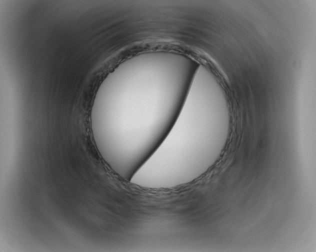 X0000114430919200910161029