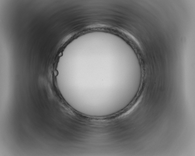 X0000114430921200910161029