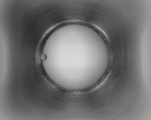 X0000114430925200910161029
