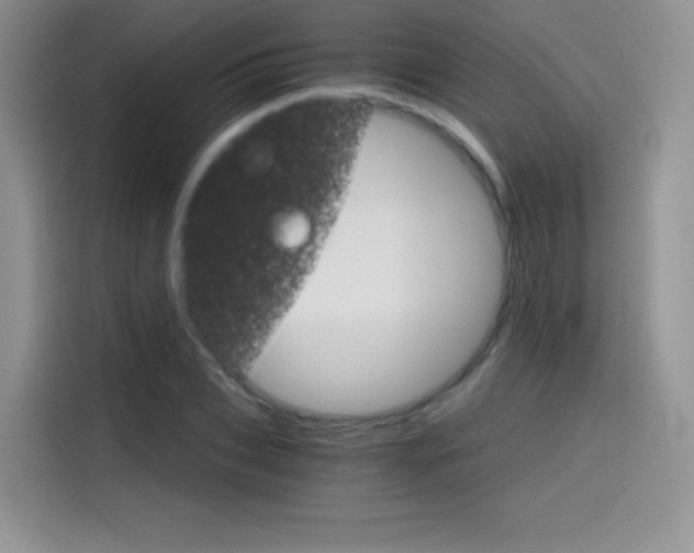 X0000114430927200910161029