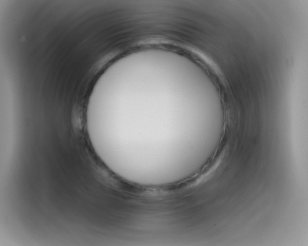 X0000114430929200910161029