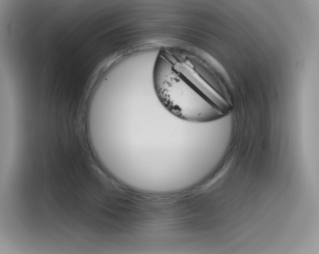 X0000114430930200910161029