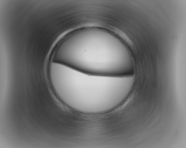 X0000114430934200910161029