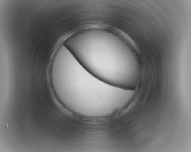 X0000114430938200910161029