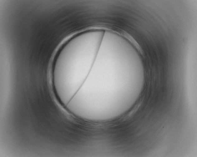 X0000114430939200910161029