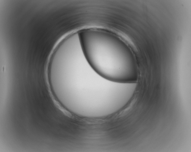 X0000114430942200910161029