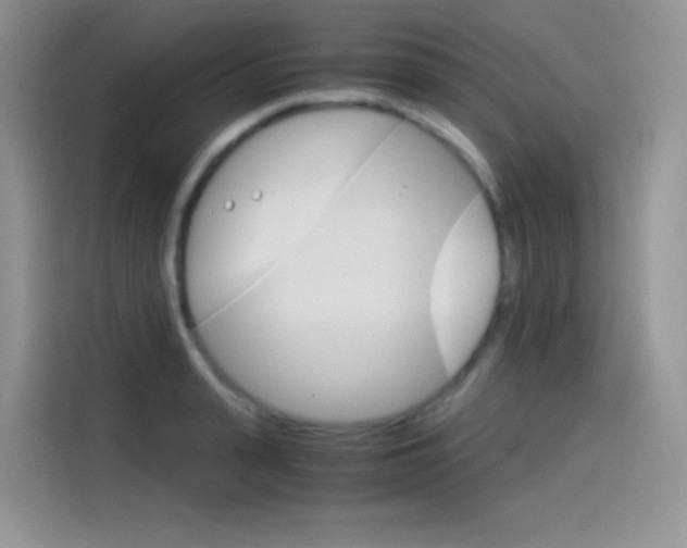 X0000114430943200910161029
