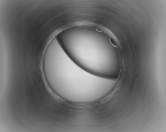 X0000114430946200910161029