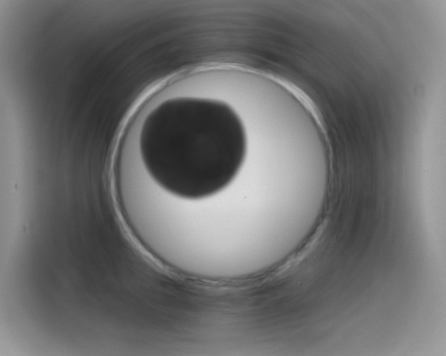 X0000114430949200910161029