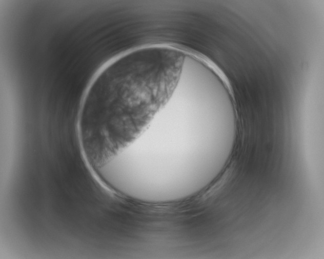 X0000114430951200910161029