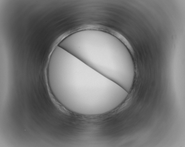 X0000114430954200910161029