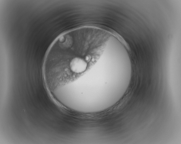 X0000114430955200910161029