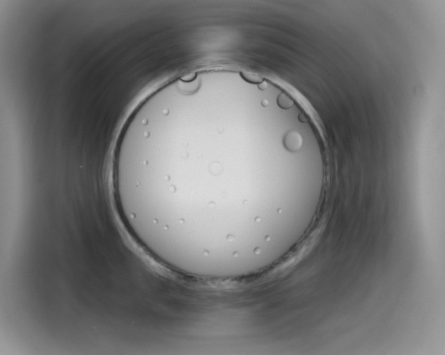 X0000114430957200910161029