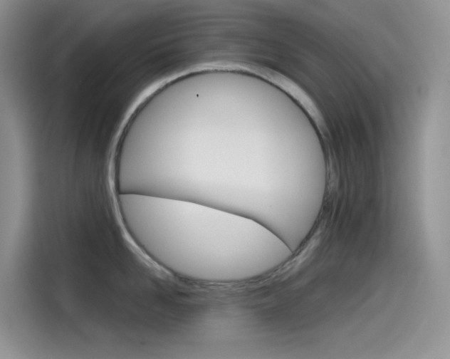X0000114430958200910161029