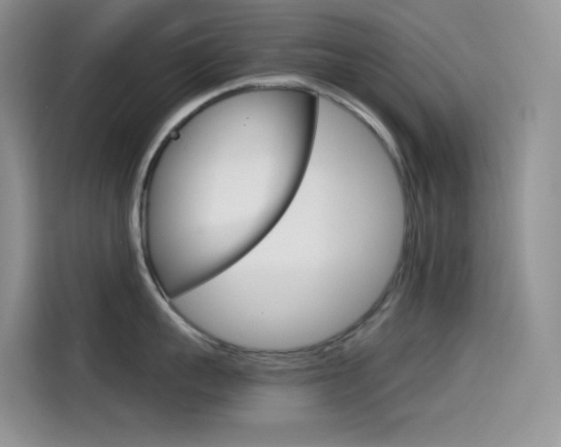 X0000114430959200910161029