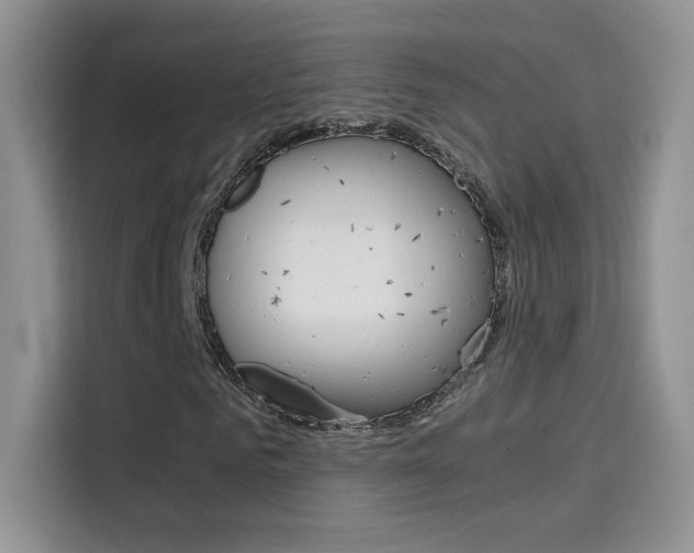 X0000114430961200910161029