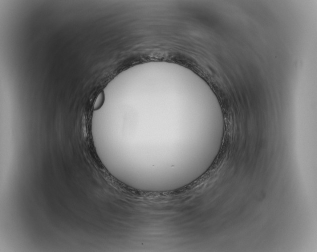 X0000114430962200910161029