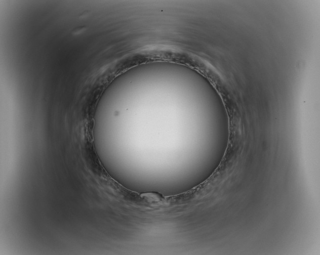 X0000114430965200910161029