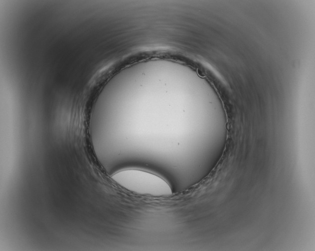 X0000114430967200910161029