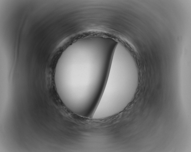 X0000114430968200910161029