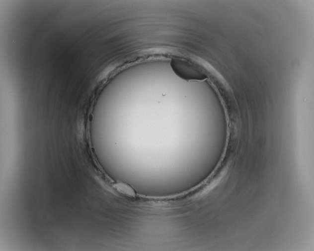 X0000114430969200910161029