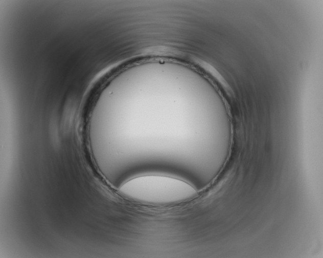 X0000114430971200910161029