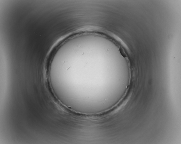 X0000114430973200910161029