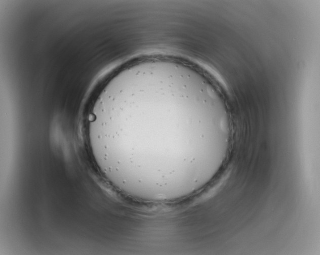 X0000114430974200910161029