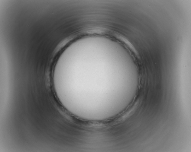 X0000114430978200910161028