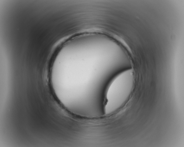 X0000114430979200910161028