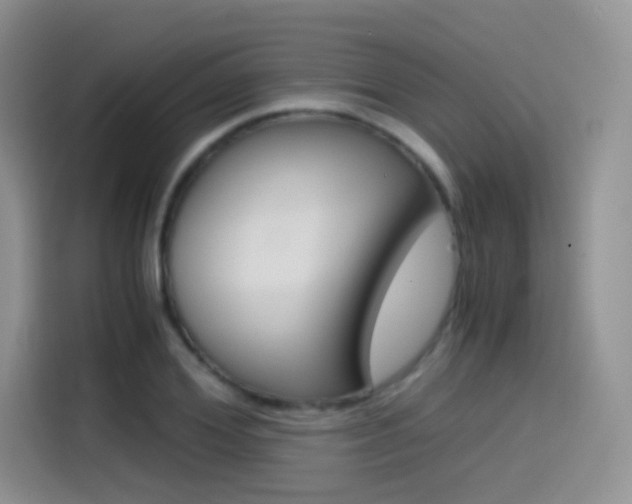 X0000114430980200910161028