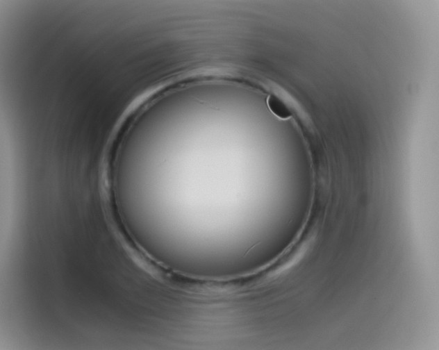 X0000114430981200910161028