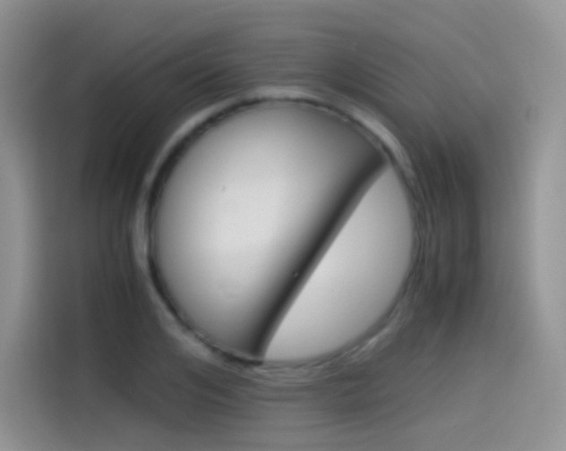 X0000114430984200910161028