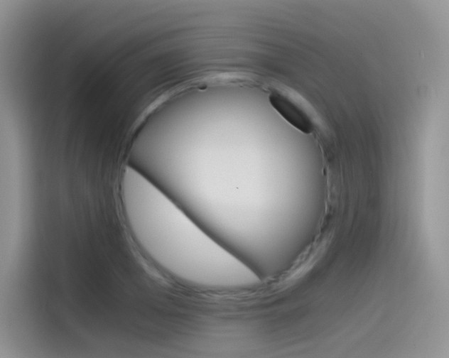 X0000114430985200910161028
