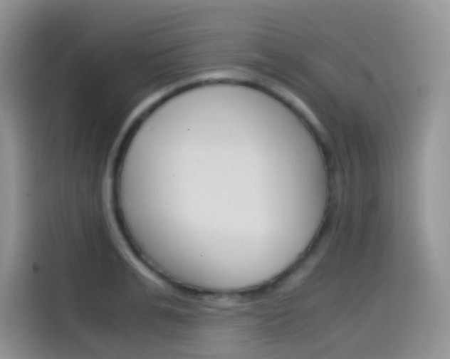 X0000114430991200910161028