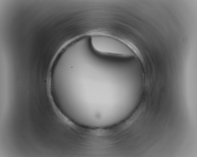 X0000114430992200910161028