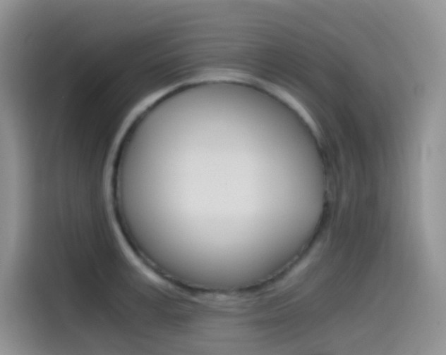 X0000114430995200910161028