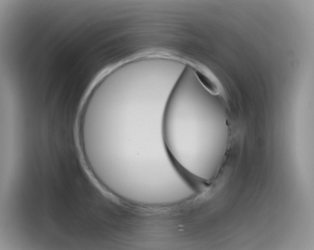 X0000114430997200910161028