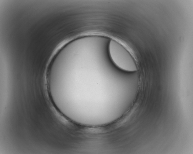X0000114430998200910161028