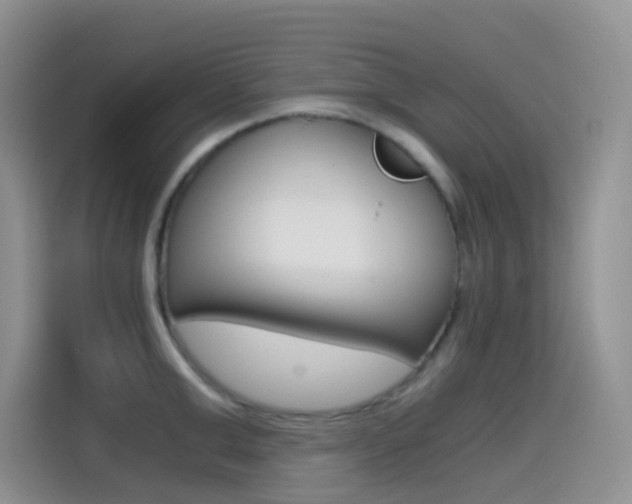 X0000114430999200910161028
