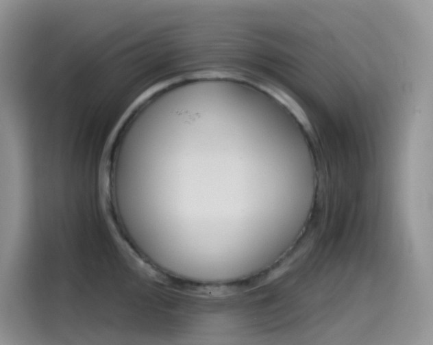 X0000114431000200910161028