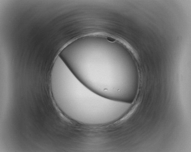 X0000114431001200910161028
