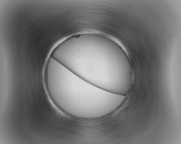 X0000114431003200910161028
