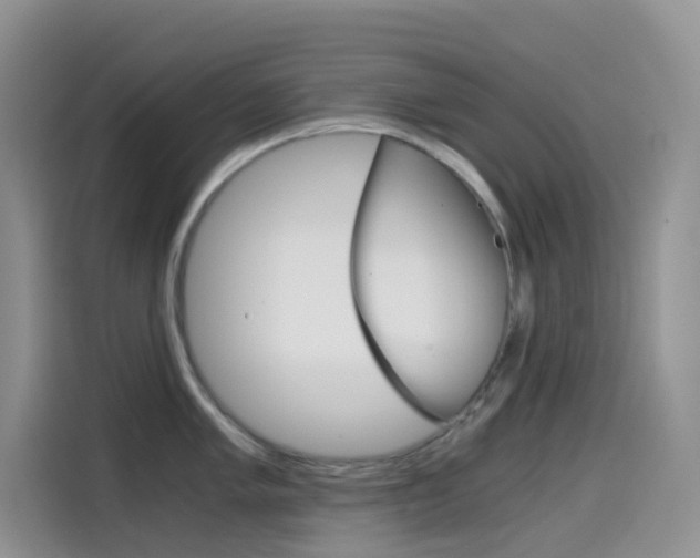 X0000114431005200910161028